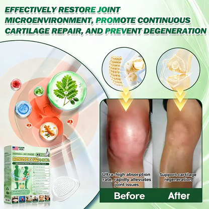 Berberine Moringa Nano Microneedle Wellness Patch🟢