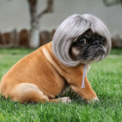 Dog Short Hair Wig Headband - Cute and Playful Pet Hair Accessory, Fun Accent, Fun🐶
