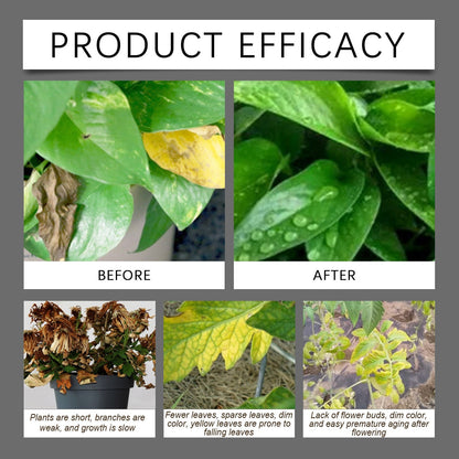 Humic Acid Soil Conditioner Concentrated Formula For Garden Lawn🌿