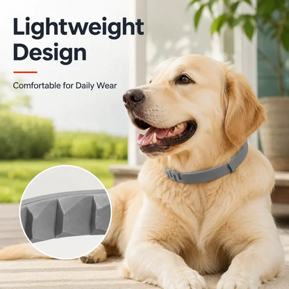Adjustable Dog Collar with Fresh Scent Comfortable  🐕‍🦺