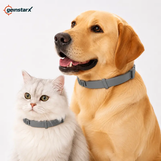 Adjustable Dog Collar with Fresh Scent Comfortable  🐕‍🦺