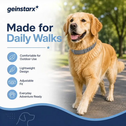 Adjustable Dog Collar with Fresh Scent Comfortable  🐕‍🦺