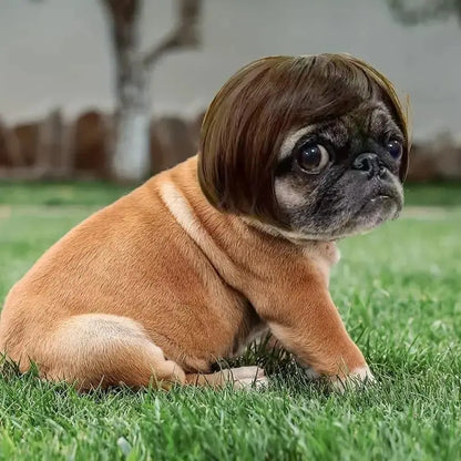 Dog Short Hair Wig Headband - Cute and Playful Pet Hair Accessory, Fun Accent, Fun🐶