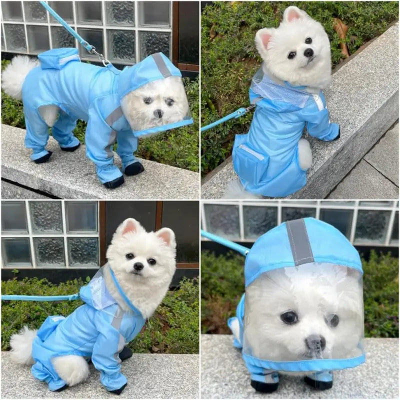 Waterproof 4-Leg Dog Raincoat with Hood & Attached Boots 🐶