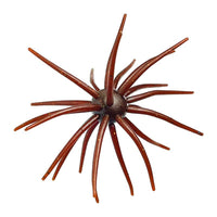 Flash Brown