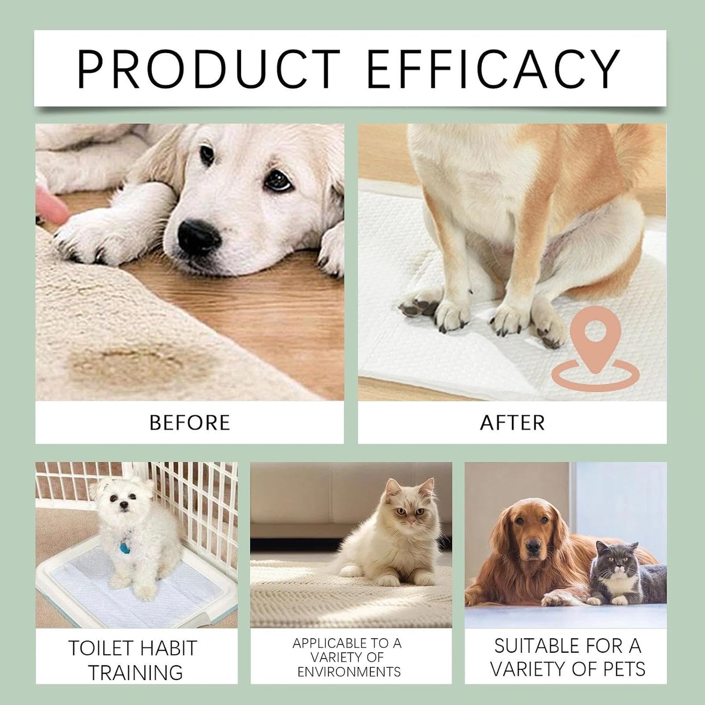 Natural Pet Potty Training Attractant Spray for Dogs & Cats 🐾