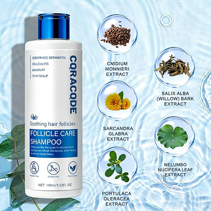 Fol Shampooliculitis for Itchy, Flaky Scalp - Purifying Formula for a Soothed