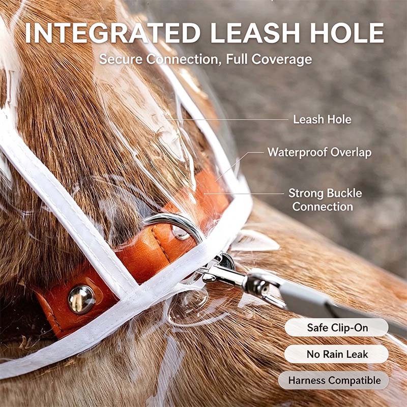 Transparent Thick Cape Dog Raincoat for Small Medium Dogs 🐾