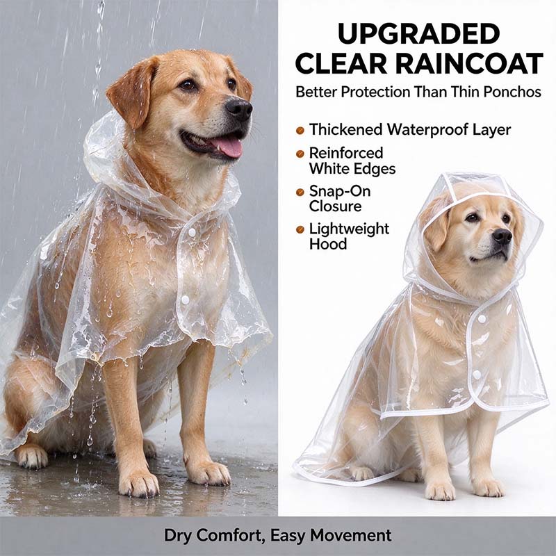 Transparent Thick Cape Dog Raincoat for Small Medium Dogs 🐾