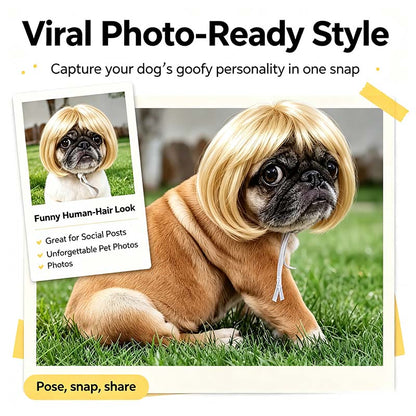 Dog Short Hair Wig Headband - Cute and Playful Pet Hair Accessory, Fun Accent, Fun🐶