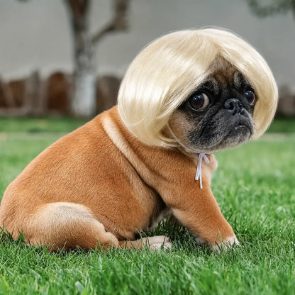 Dog Short Hair Wig Headband - Cute and Playful Pet Hair Accessory, Fun Accent, Fun🐶